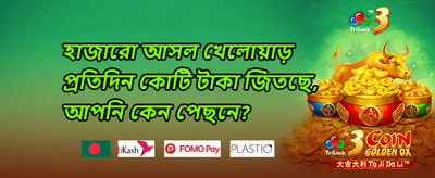 সাপ্তাহিক ভিআইপি ক্যাশব্যাক promotion image